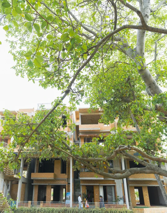 Aranya Banner aranya-banner